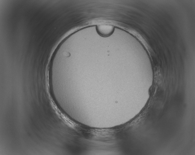 X0000084031150200702232251