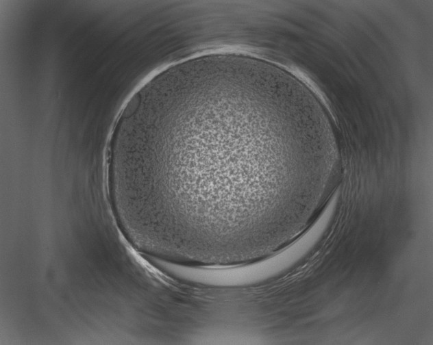 X0000084031151200702232251