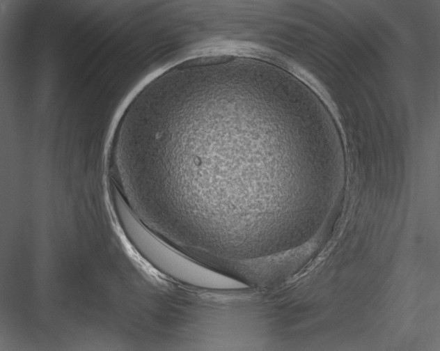 X0000084031152200702232251