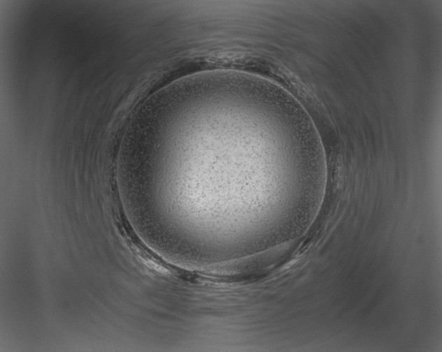 X0000084031153200702232251