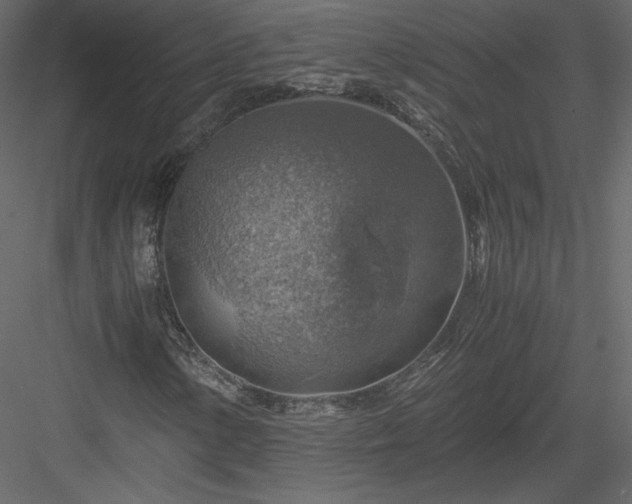 X0000084031154200702232251