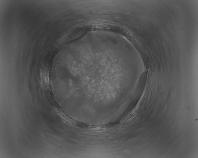 X0000084031155200702232251