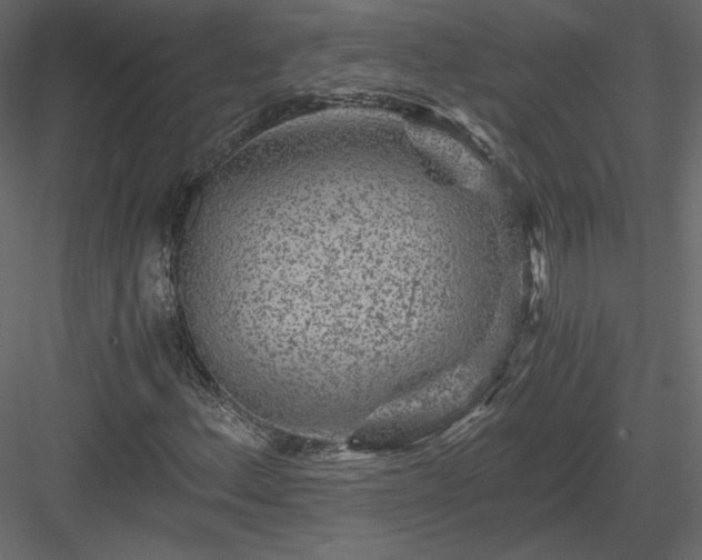 X0000084031156200702232251