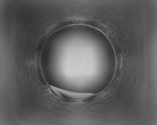 X0000084031157200702232251