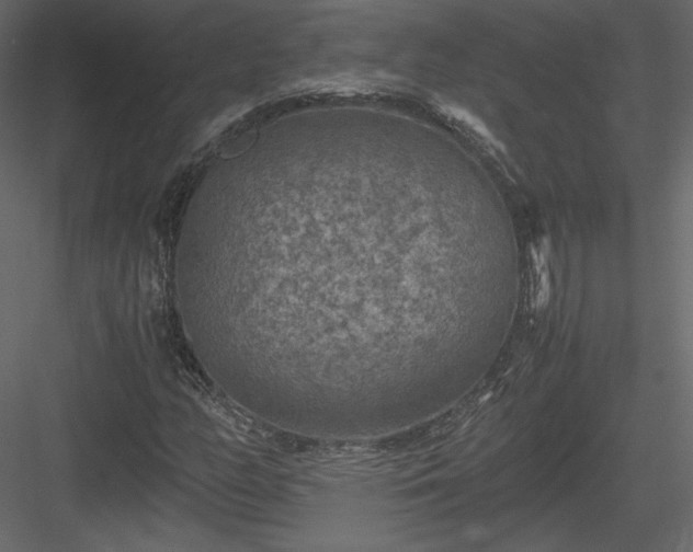 X0000084031158200702232251