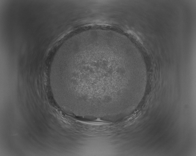 X0000084031159200702232251