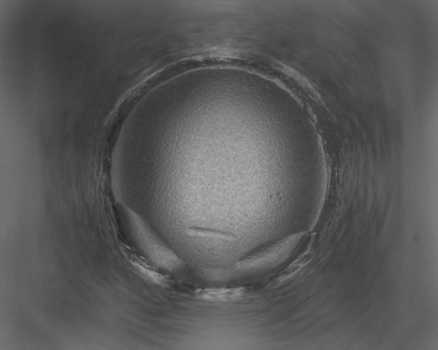 X0000084031160200702232250