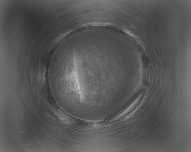 X0000084031161200702232250