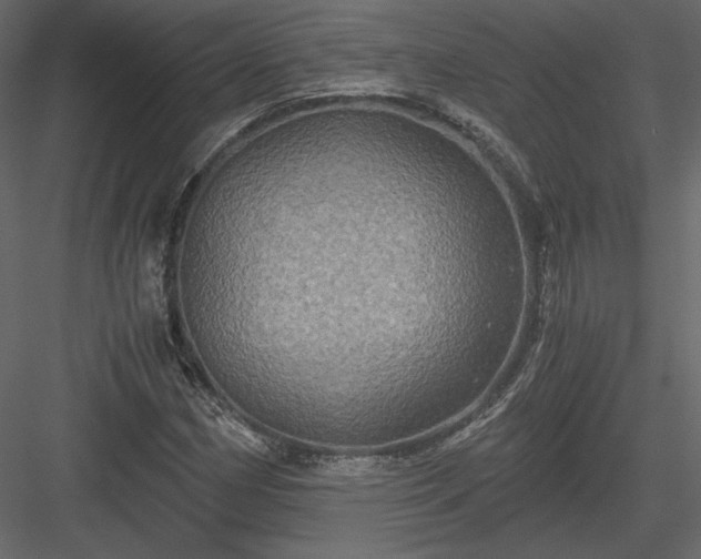 X0000084031162200702232250