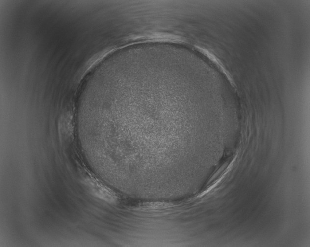 X0000084031163200702232250