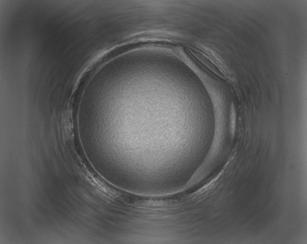 X0000084031164200702232250