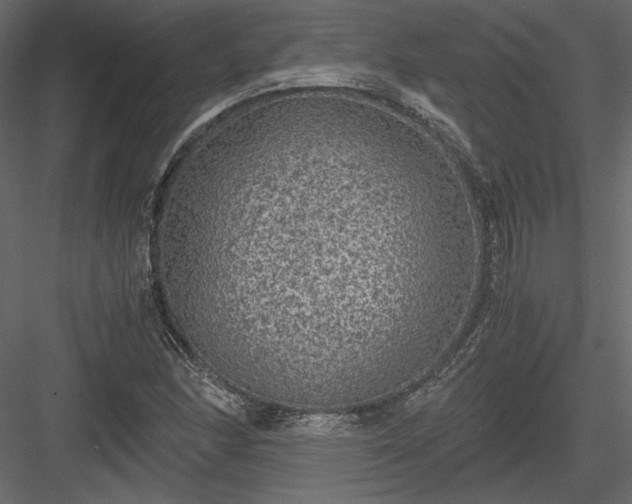 X0000084031166200702232250