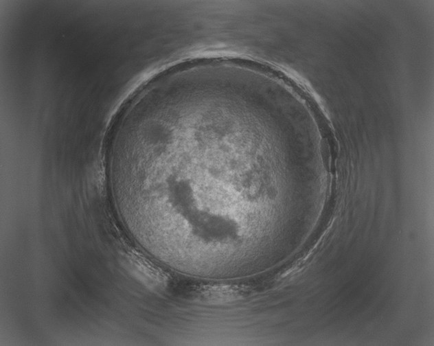 X0000084031167200702232250