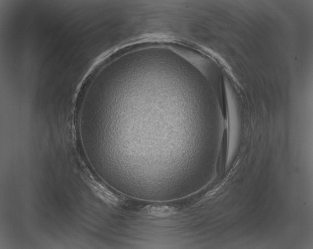 X0000084031168200702232250