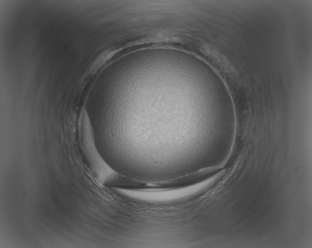 X0000084031169200702232250