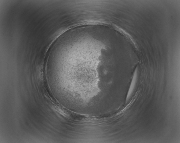 X0000084031170200702232250