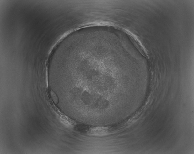 X0000084031171200702232250