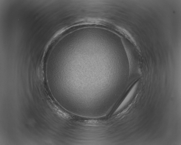 X0000084031172200702232250