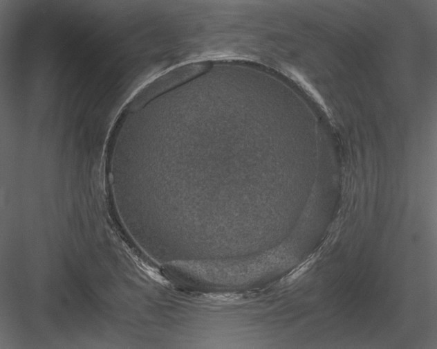 X0000084031173200702232250