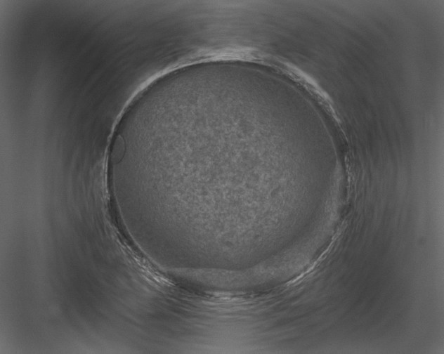 X0000084031174200702232250