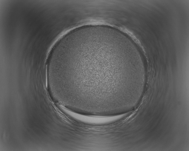 X0000084031175200702232250