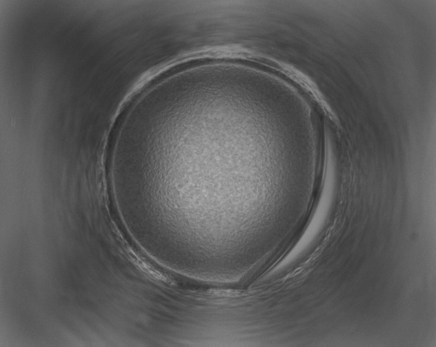 X0000084031176200702232250