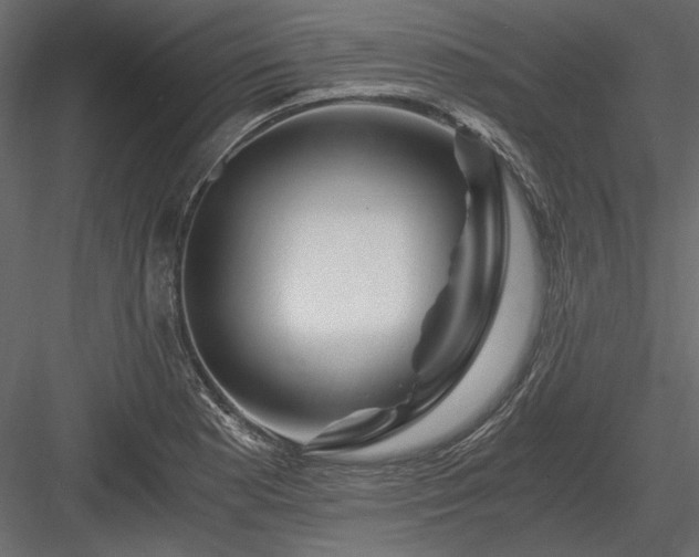 X0000084031177200702232250