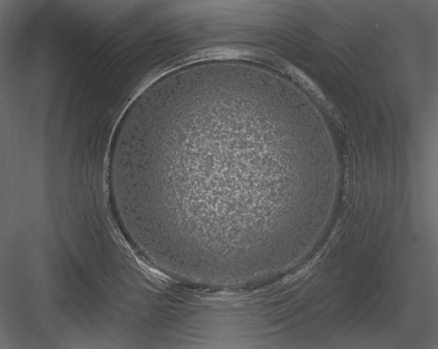 X0000084031178200702232250