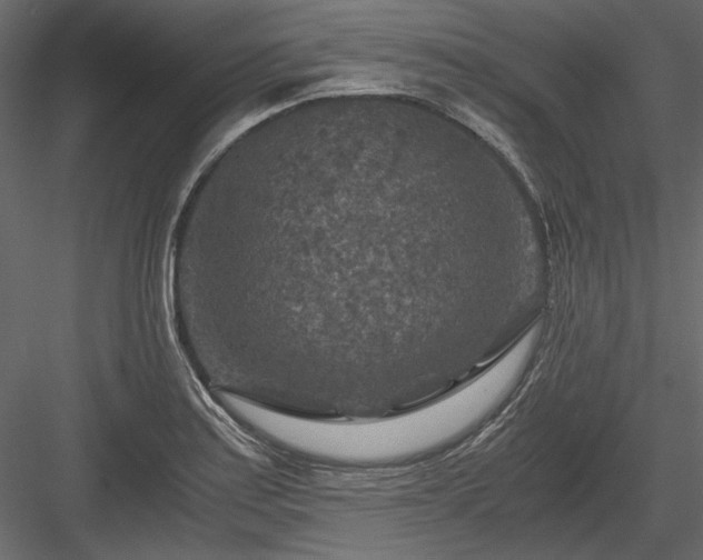 X0000084031179200702232250