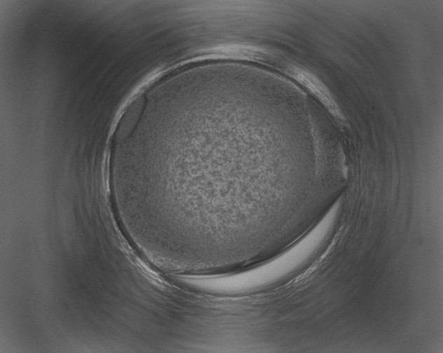 X0000084031180200702232250