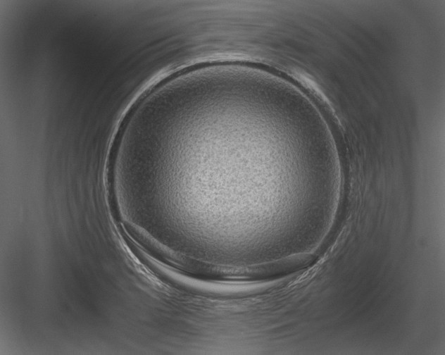 X0000084031181200702232250