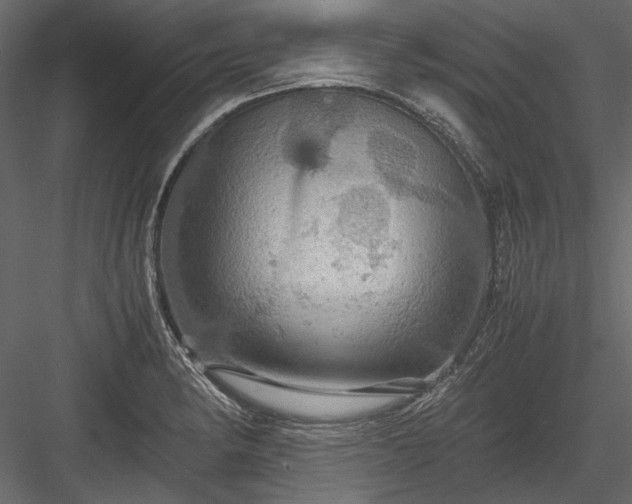 X0000084031182200702232250