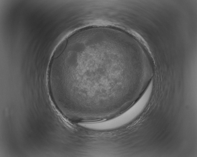 X0000084031183200702232250