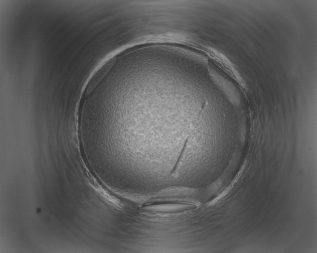 X0000084031184200702232250