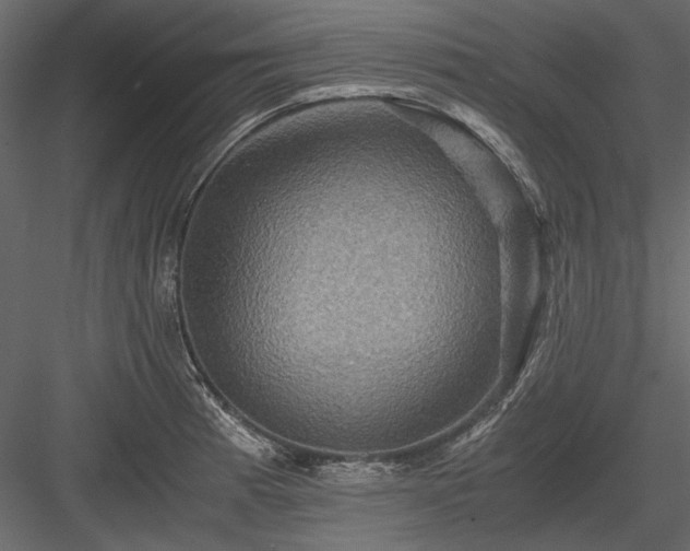 X0000084031185200702232250