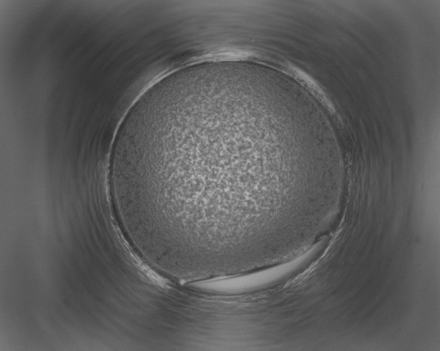 X0000084031186200702232250