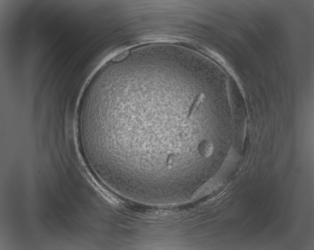 X0000084031187200702232250