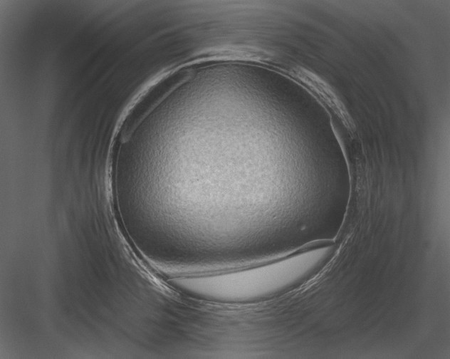 X0000084031188200702232250