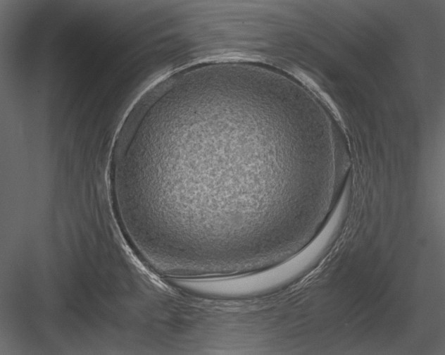 X0000084031189200702232250