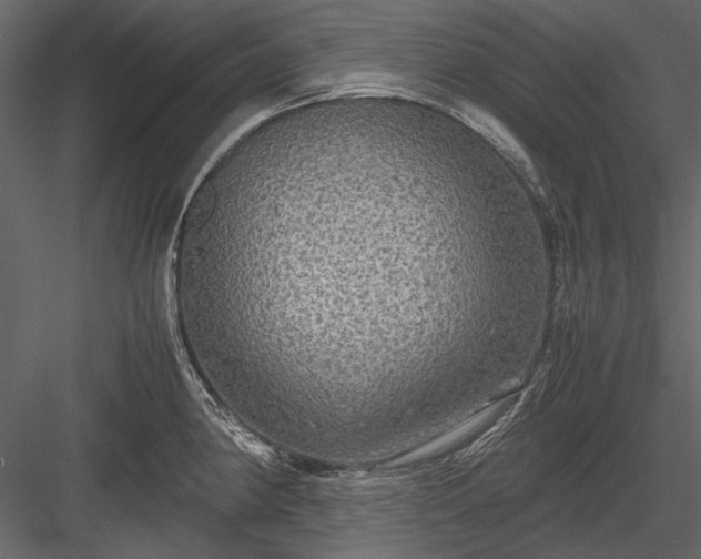 X0000084031190200702232250