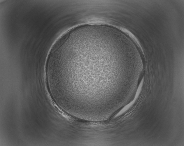 X0000084031191200702232250