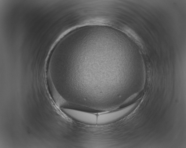 X0000084031192200702232250