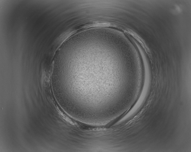 X0000084031193200702232250