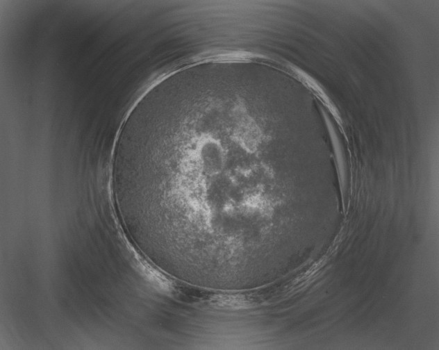 X0000084031194200702232250