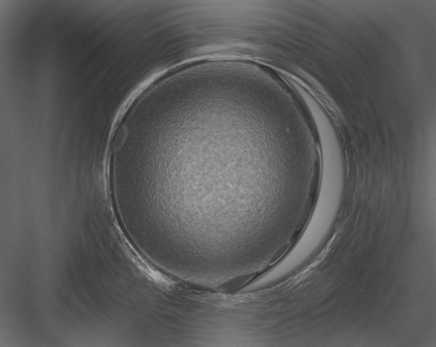 X0000084031196200702232250