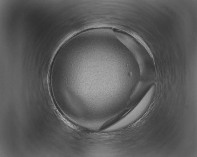 X0000084031197200702232250