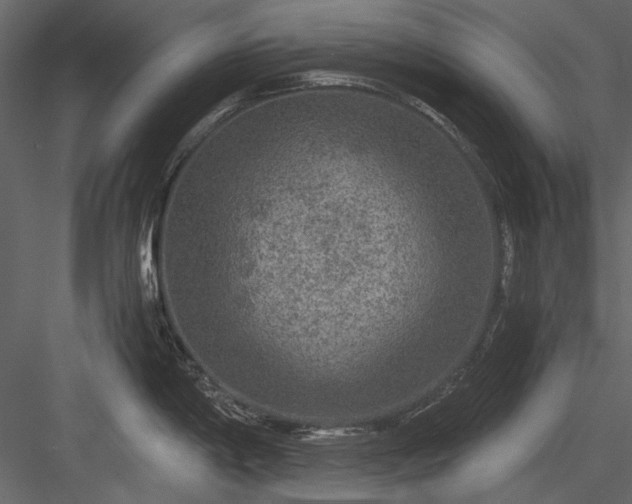 X0000084031198200702232250