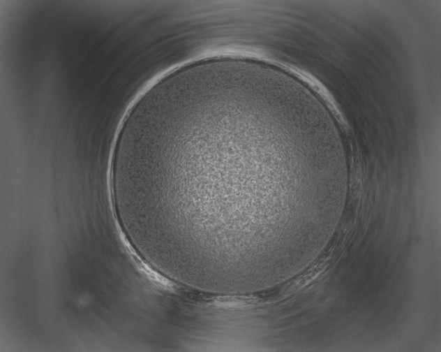 X0000084031199200702232250