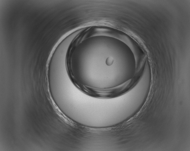 X0000084031200200702232250