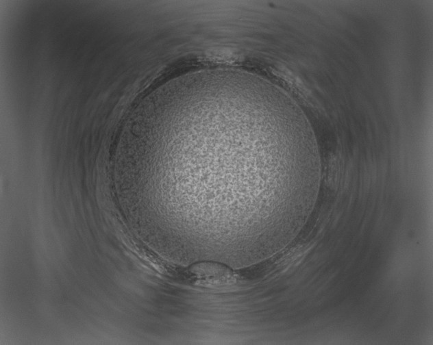 X0000084031201200702232249